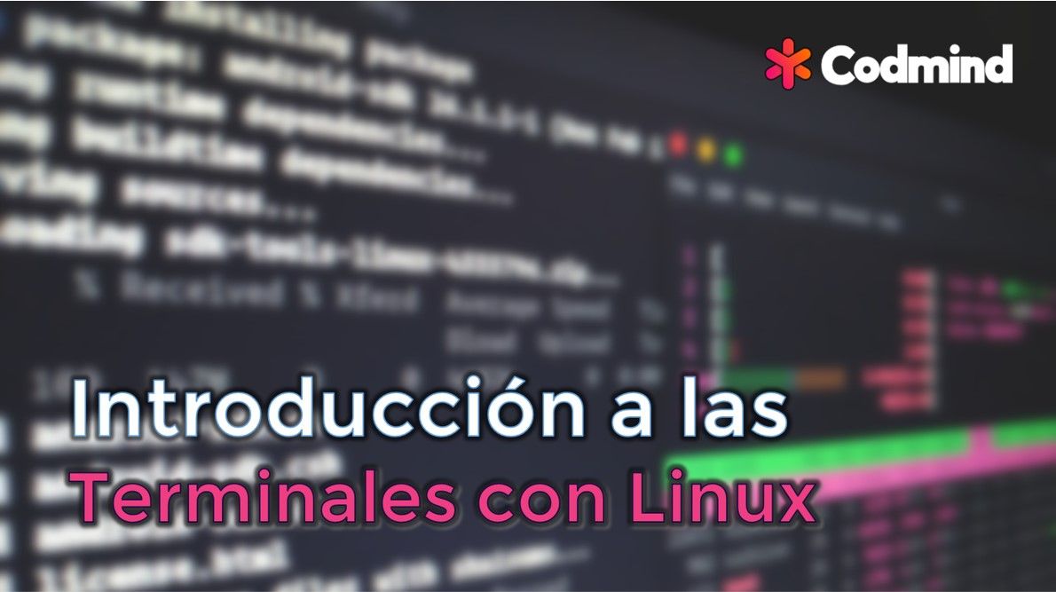 Introducción práctica a la terminal de comandos linux